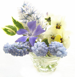 blue_arrange